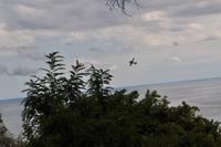 Flug-Show über Giardini-Naxos