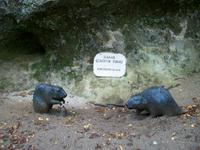 Neandertalmuseum in Krapina