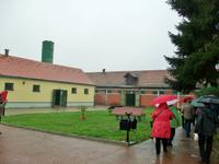 Eberhardt- Reisegruppe im Lipizzaner- Gestüt Djakovo