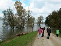 Eberhardt- Reisegruppe im Naturpark Lonjsko Polje