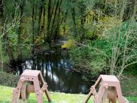 Naturpark Lonjsko Polje