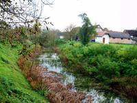 Cigoc, das Storchendorf