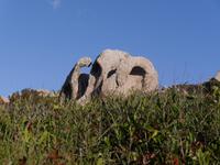 Capo Testa 