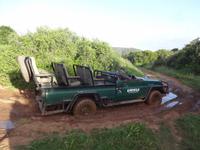 Kariega Game Reserve