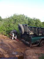 Kariega Game Reserve