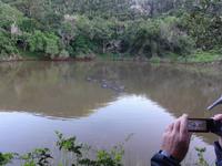 Kariega Game Reserve