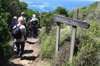 Featherbed Nature Reserve