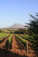 Stellenbosch und Umgebung