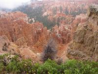 Bryce Canyon