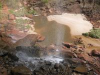 Im Zion Nationalpark