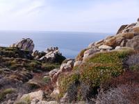 Capo Testa 