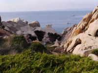 Capo Testa 