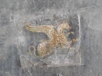 geflügelter Löwe Pompeji
