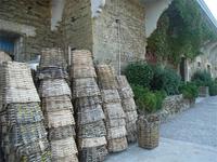 Quinta do Tedo