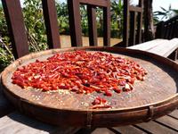 285. Inle Lake, Myanmar