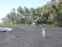 Punalu´u Black Sand Beach Park 