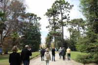 Chile: Maipo Tal - Weingut 