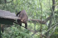 Brasilien: Rio de Janeiro - Corcovado