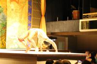 Brasilien: Rio de Janeiro - Sambashow