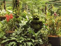 Singapur - Orchard Garden