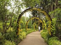 Singapur - Orchard Garden