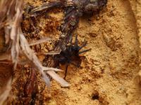 Ausflug in die Blue Mountains