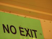 Rainforest Wildlife Habitat