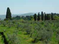 Blick aus den Boboli Gärten