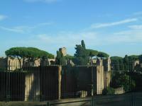 Stadtrundfahrt in Rom (Caracalla-Thermen)