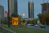 toronto1