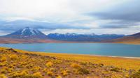 Hochlandlagune Miscanti mit gleichnamigen Vulkan, Atacama Wüste