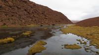 Vado Putana, Atacama Wüste