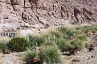 Wanderung Guatin Schlucht