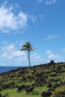 Wanderung entlang der Steilküste