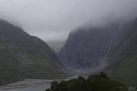 Am Fox Gletscher - leider sieht man den Gletscher nicht