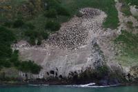 Bootstour - Nistplatz