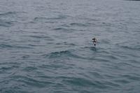 Bootstour mit der Monarch