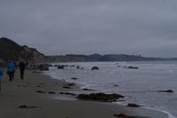 Moeraki Boulders