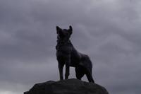 Denkmal Schäferhund von James McKenzie