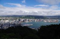 Blick auf Wellington