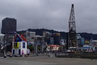 Blick auf Wellington