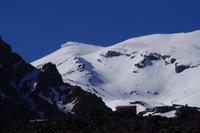 Whakapapa
