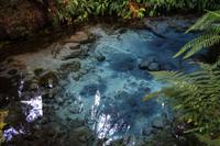 Hangi Abend - Trinkwasserquelle