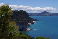 Spaziergang zur Cathredral Cove