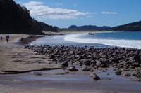 Weg zum Hot Water Beach