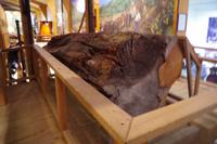 Im Kaurimuseum
