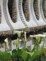 Blumenpracht im Park Güell