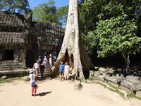 Dschungeltempel Banteay Kdei