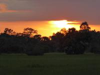 Sonnenuntergang am Reisfeld