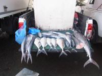 Fischmarkt in Muscat